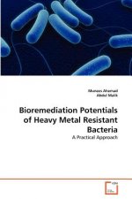 Bioremediation Potentials of Heavy Metal Resistant Bacteria