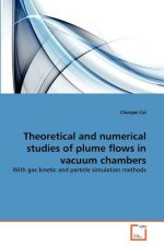 Theoretical and numerical studies of plume flows in vacuum chambers