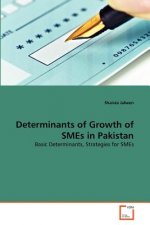 Determinants of Growth of SMEs in Pakistan