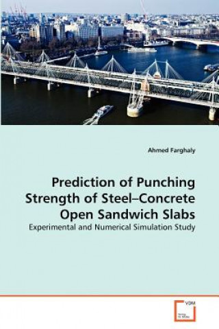 Prediction of Punching Strength of Steel-Concrete Open Sandwich Slabs