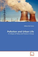 Pollution and Urban Life