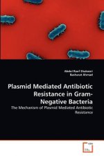 Plasmid Mediated Antibiotic Resistance in Gram-Negative Bacteria