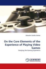 On the Core Elements of the Experience of Playing Video Games