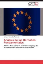 Analisis de Los Derechos Fundamentales