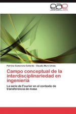 Campo conceptual de la interdisciplinariedad en ingenieria