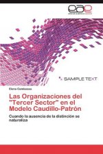 Organizaciones del Tercer Sector En El Modelo Caudillo-Patron