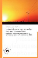 Le Deploiement Des Nouvelles Energies Renouvelables
