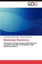 Modelado Numerico