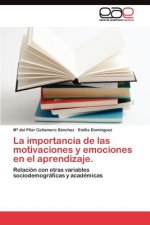 importancia de las motivaciones y emociones en el aprendizaje.