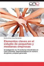 Elementos claves en el estudio de pequenas y medianas empresas