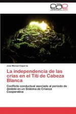 Independencia de Las Crias En El Titi de Cabeza Blanca