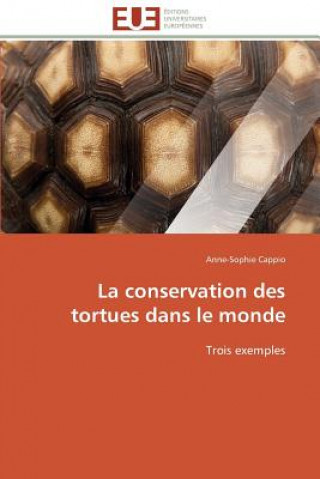 La Conservation Des Tortues Dans Le Monde