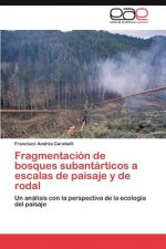 Fragmentacion de bosques subantarticos a escalas de paisaje y de rodal