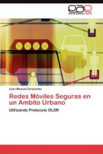 Redes Moviles Seguras en un Ambito Urbano