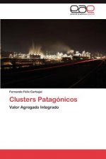 Clusters Patagonicos