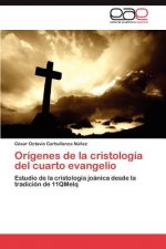 Origenes de la cristologia del cuarto evangelio