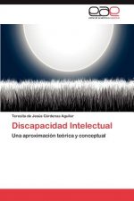 Discapacidad Intelectual