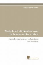 Theta-Burst Stimulation Over the Human Motor Cortex