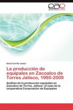 produccion de equipales en Zacoalco de Torres Jalisco, 1995-2009