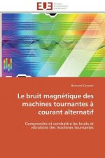 bruit magnetique des machines tournantes a courant alternatif