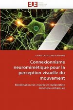 Connexionnisme Neuromim tique Pour La Perception Visuelle Du Mouvement