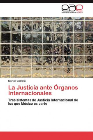 Justicia Ante Organos Internacionales