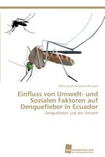 Einfluss von Umwelt- und Sozialen Faktoren auf Denguefieber in Ecuador
