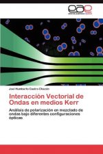 Interaccion Vectorial de Ondas en medios Kerr