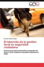 laberinto de la gestion local en seguridad ciudadana