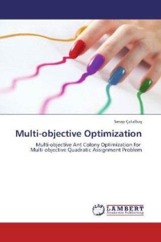Multi-objective Optimization