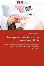 La Sage-Femme Face   Ses Responsabilit s