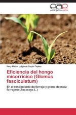 Eficiencia del hongo micorricico (Glomus fasciculatum)