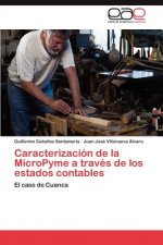 Caracterizacion de La Micropyme a Traves de Los Estados Contables