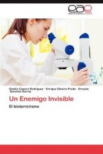 Enemigo Invisible