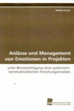 Anlässe und Management von Emotionen in Projekten