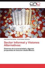 Sector Informal y Visiones Alternativas
