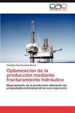 Optimizacion de la produccion mediante fracturamiento hidraulico