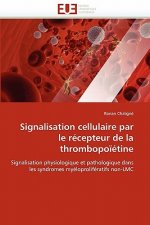 Signalisation cellulaire par le recepteur de la thrombopoietine