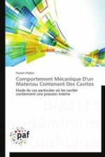 Comportement Mécanique D'un Materiau Contenant Des Cavites