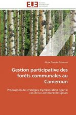 Gestion Participative Des For ts Communales Au Cameroun