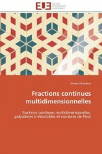 Fractions Continues Multidimensionnelles