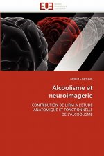 Alcoolisme Et Neuroimagerie