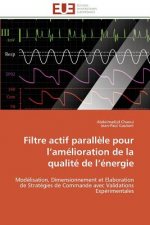 Filtre Actif Parall le Pour L Am lioration de la Qualit  de L  nergie