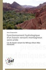 Fonctionnement Hydrologique d'Un Bassin Versant Montagneux Semi-Aride