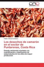 Desechos de Camaron En El Sector de Puntarenas, Costa Rica