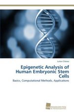 Epigenetic Analysis of Human Embryonic Stem Cells