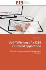 Self-Tune-Ing of a J2ee Clustered Application