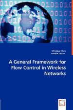 General Framework for Flow Control in Wireless Networks