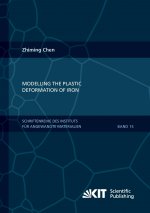 Modelling the plastic deformation of iron