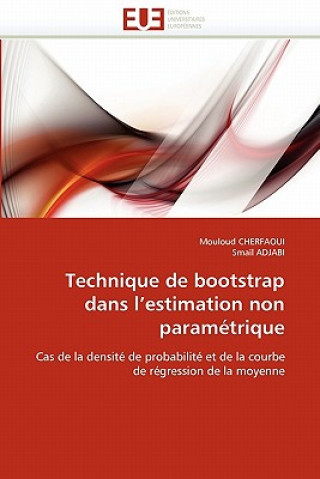 Technique de Bootstrap Dans l''estimation Non Param trique